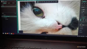 Penpot 还是 Canva?做图工具这样选 Penpot 还是 Canva?做图工具这样选