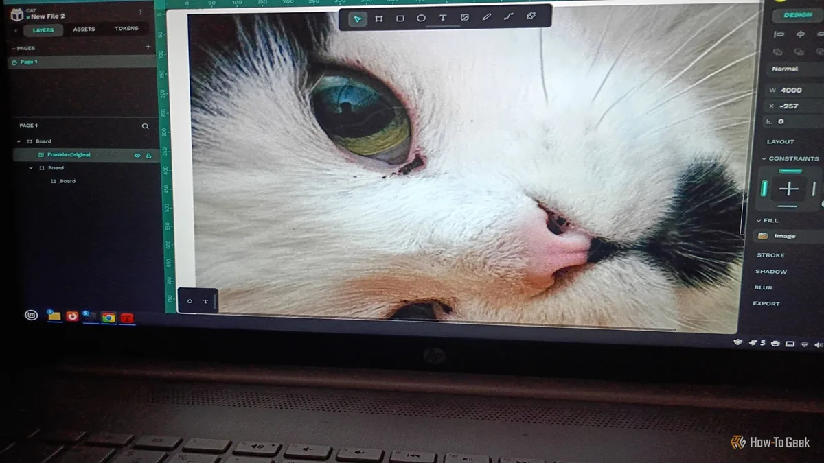 Penpot 还是 Canva?做图工具这样选
