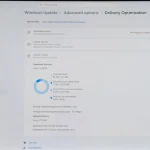 打游戏突然卡一下?Win11 在偷偷给别人做种