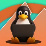 Linux装完先别急着用，这5个得补上
