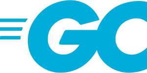 代码交给 AI 写，Go 凭什么更稳