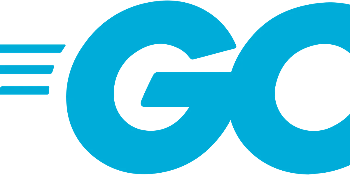 代码交给 AI 写，Go 凭什么更稳