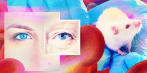 e653c67a266c04a91713d3dcd412b75e_header