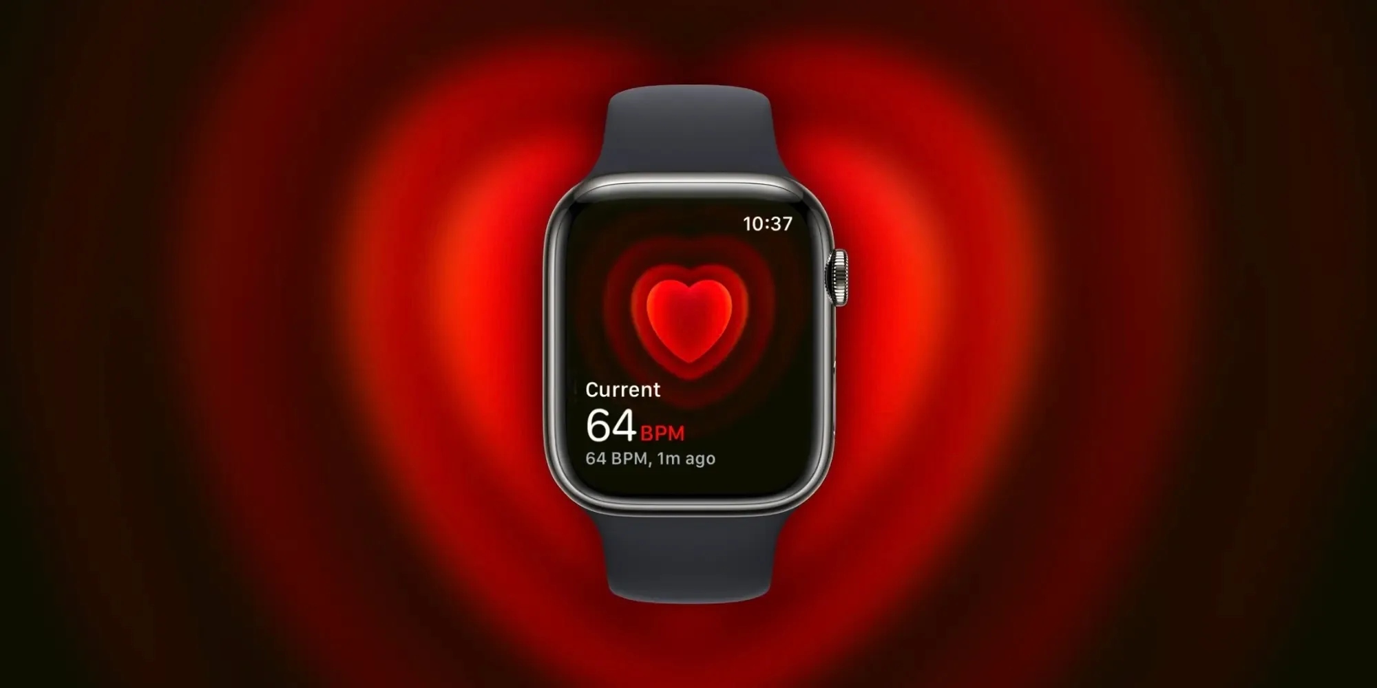 Apple Watch 的心率应用界面
