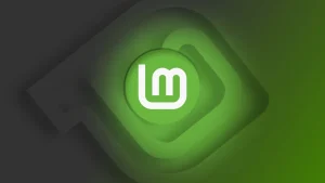 缺了多年的两块拼图:Linux Mint 23.0 内置日历与阅读器 r35mint_header